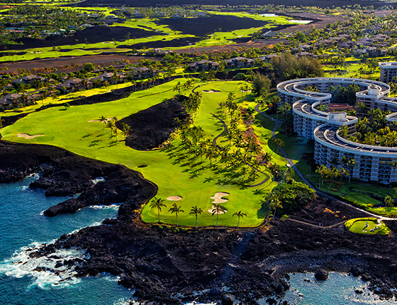 Wikihale. Golf how it was meant to be.